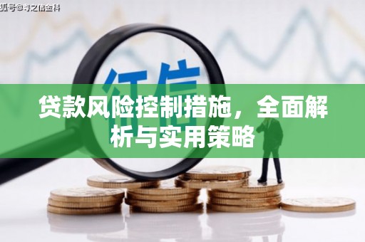 光复贷款风险控制措施，全面解析与实用策略