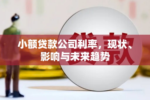 光复小额贷款公司利率，现状、影响与未来趋势