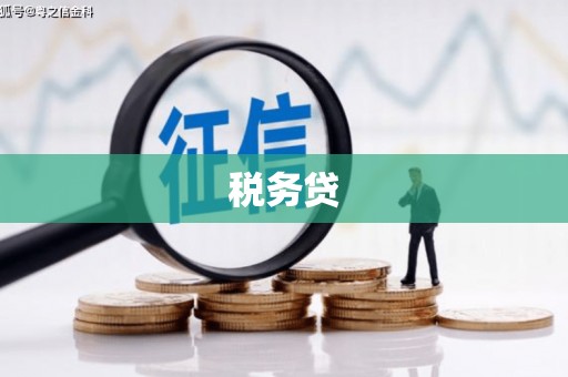 光复税务贷