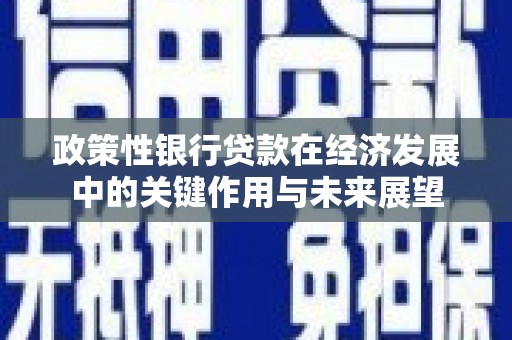 光复政策性银行贷款在经济发展中的关键作用与未来展望