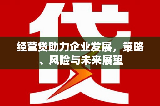 光复经营贷助力企业发展，策略、风险与未来展望