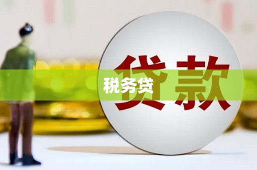 光复税务贷
