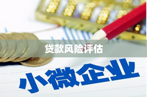光复贷款风险评估