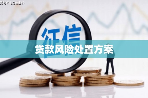 光复贷款风险处置方案
