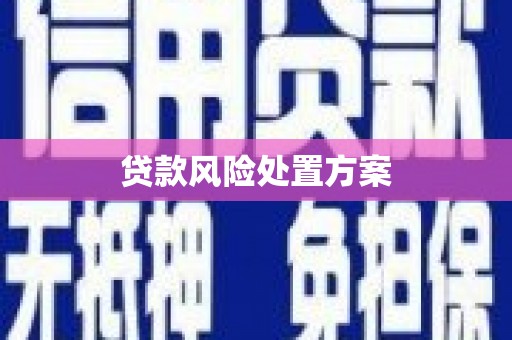光复贷款风险处置方案