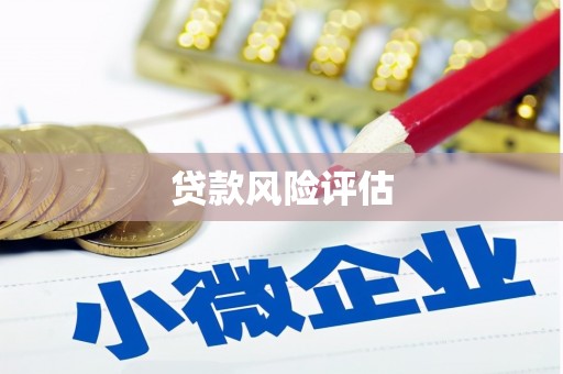 光复贷款风险评估