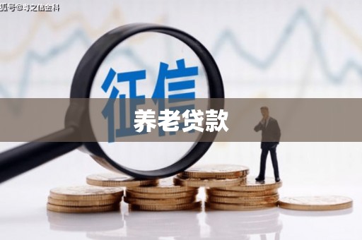 光复养老贷款