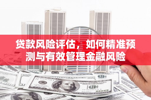 光复贷款风险评估，如何精准预测与有效管理金融风险