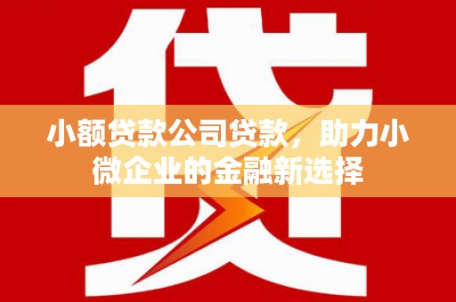 光复小额贷款公司贷款，助力小微企业的金融新选择