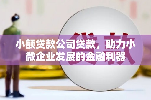 光复小额贷款公司贷款，助力小微企业发展的金融利器