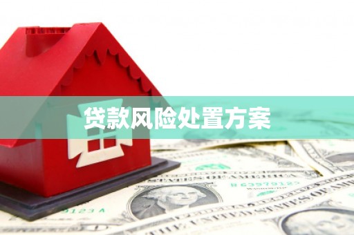 光复贷款风险处置方案