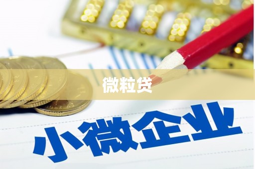 光复微粒贷