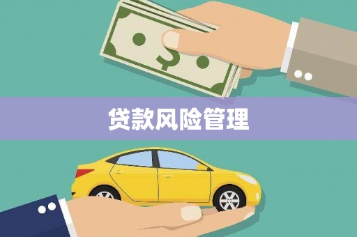 光复贷款风险管理