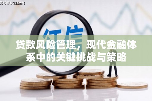光复贷款风险管理，现代金融体系中的关键挑战与策略