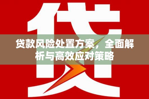 光复贷款风险处置方案，全面解析与高效应对策略