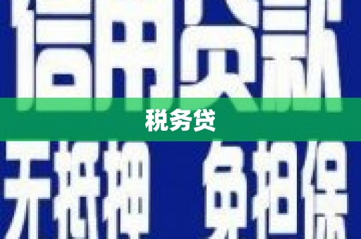 光复税务贷