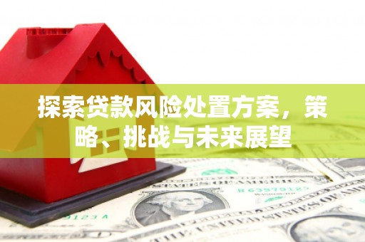 光复探索贷款风险处置方案，策略、挑战与未来展望