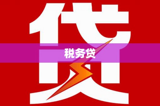 光复税务贷