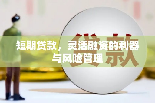 光复短期贷款，灵活融资的利器与风险管理