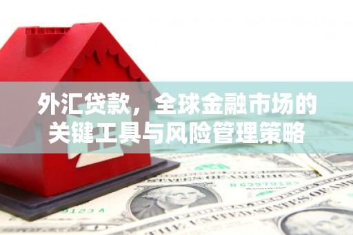光复外汇贷款，全球金融市场的关键工具与风险管理策略