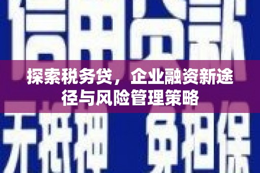 光复探索税务贷，企业融资新途径与风险管理策略