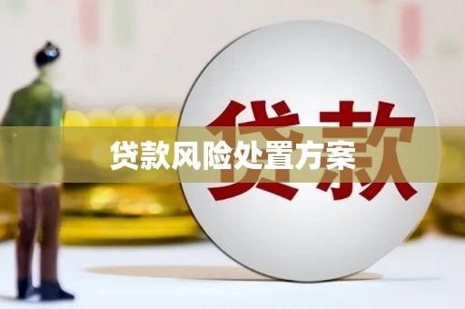 光复贷款风险处置方案