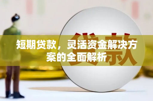 光复短期贷款，灵活资金解决方案的全面解析