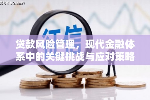 光复贷款风险管理，现代金融体系中的关键挑战与应对策略