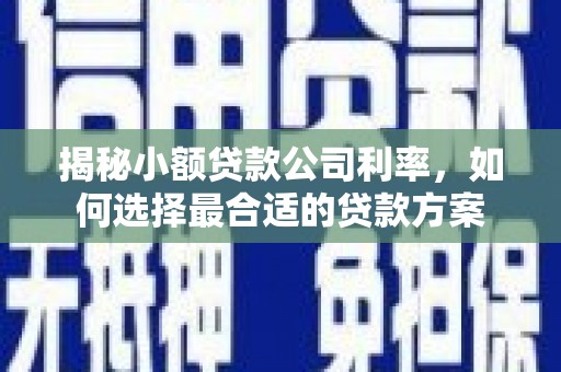 光复揭秘小额贷款公司利率，如何选择最合适的贷款方案