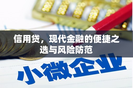 光复信用贷，现代金融的便捷之选与风险防范