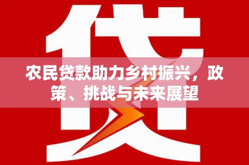 光复农民贷款助力乡村振兴，政策、挑战与未来展望