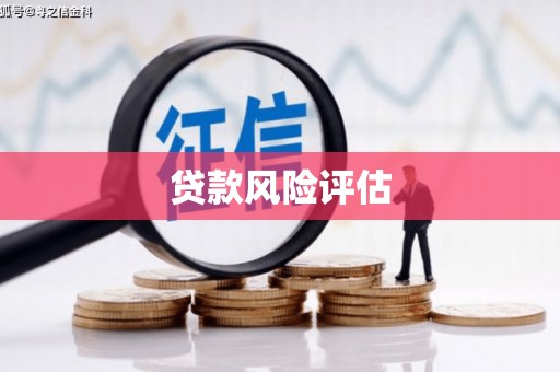 光复贷款风险评估