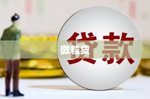 光复微粒贷