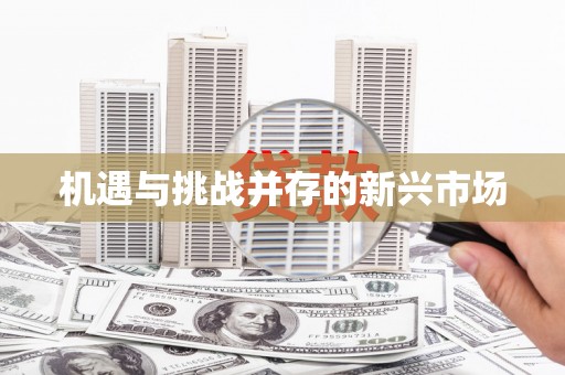 光复机遇与挑战并存的新兴市场