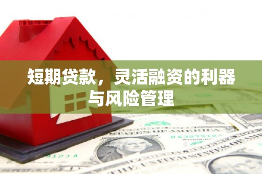光复短期贷款，灵活融资的利器与风险管理