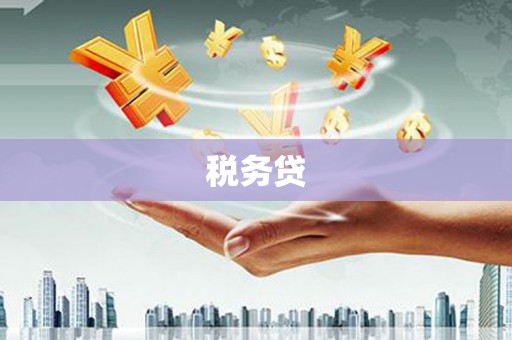 光复税务贷